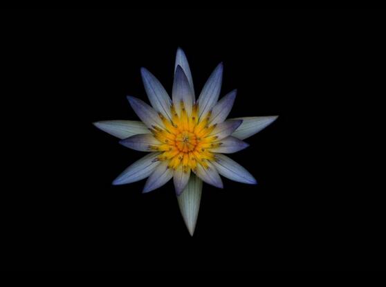 泼辣修图p出花的黑背景的详细操作