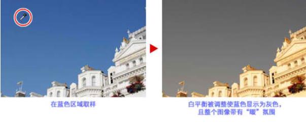 尼康捕影工匠调整色彩色调的具体方法