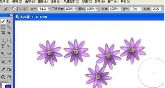 painter中制作条纹莲花外观的详细教程