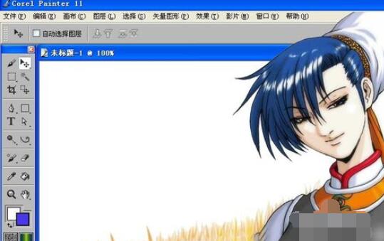 painter中制作条纹莲花外观的详细教程