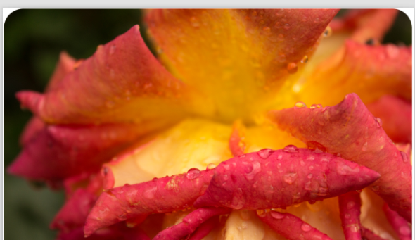 Lightroom保存图片的操作教程