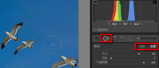 lightroom中使用污点去除功能的详细使用教程