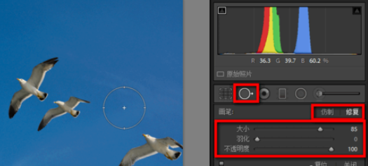 lightroom中使用污点去除功能的详细使用教程