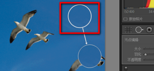 lightroom中使用污点去除功能的详细使用教程