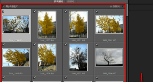 lightroom把照片添加到收藏夹的详细教程