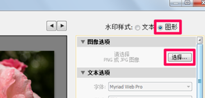 lightroom为图片添加水印的详细操作教程