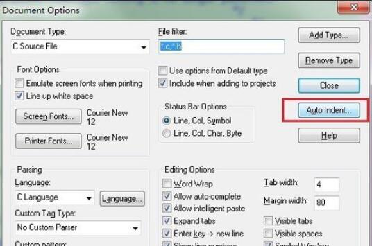 source insight中括号大小调整方法介绍