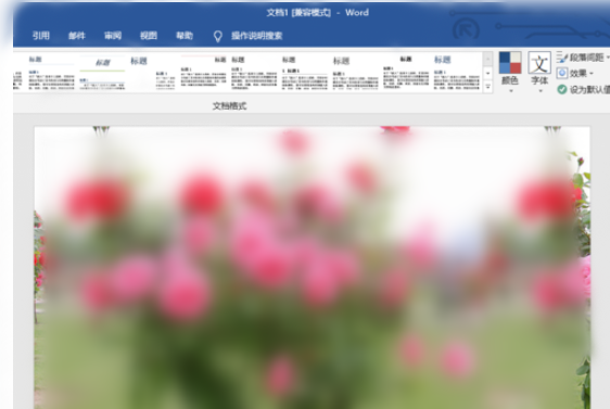 word2019设置图片背景的操作教程