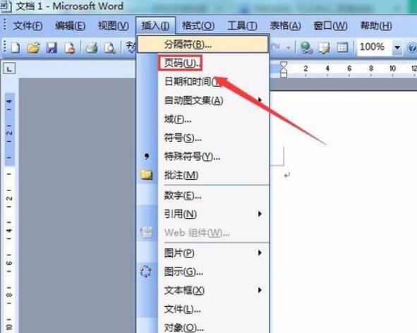 word2003中插入页码的方法