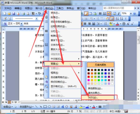 word2003文档添加水印的方法介绍