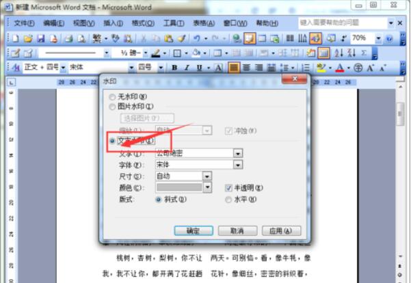 word2003文档添加水印的方法介绍