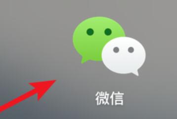 微信mac查看群公告的步骤