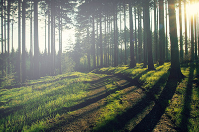 ps中部分区域调整亮度的具体操作步骤