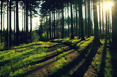 ps中部分区域调整亮度的具体操作步骤