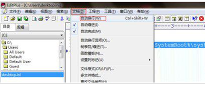 EditPlus设置自动换行的具体操作流程