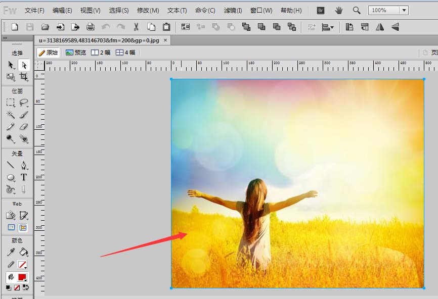 fireworks把彩色图片转为黑白色的相关操作方法
