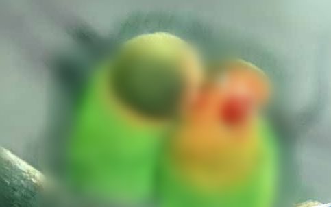 Painter绘制出水彩画效果图片的相关教程