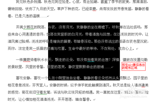 Word软件选定文本的简单操作教程