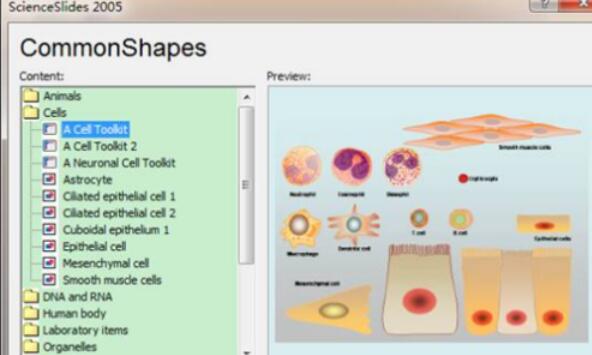 ScienceSlides设计药物信号通路图的步骤
