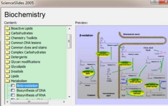 ScienceSlides设计药物信号通路图的步骤