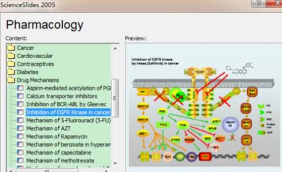 ScienceSlides设计药物信号通路图的步骤