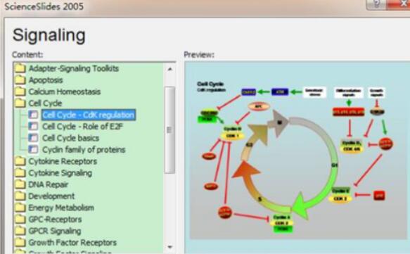 ScienceSlides设计药物信号通路图的步骤
