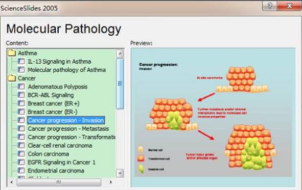 ScienceSlides设计药物信号通路图的步骤