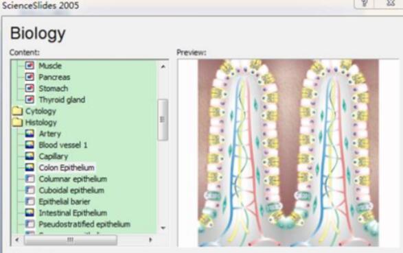 ScienceSlides设计药物信号通路图的步骤