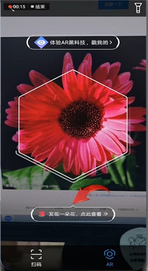 通过支付宝AR扫一扫识别花草的简单操作