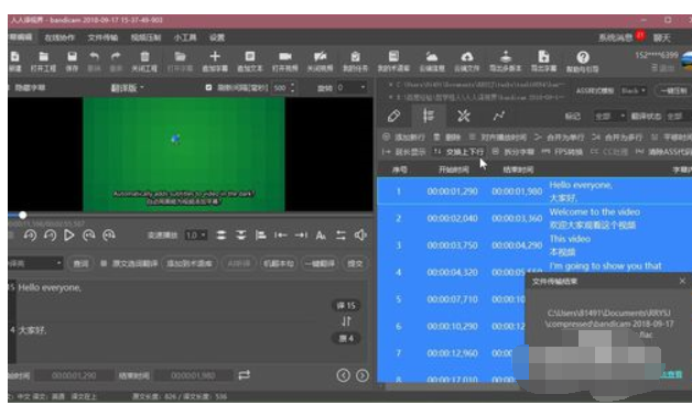 人人译视界调整字幕中英文上下顺序的操作教程