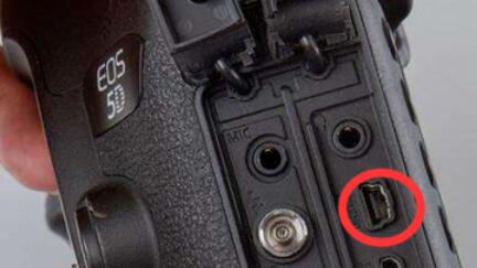 eosmsg检测佳能快门数和反光板数具体方法