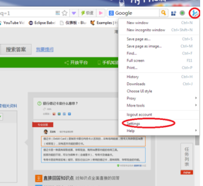 360极速浏览器将英文模式调整为中文的操作教程
