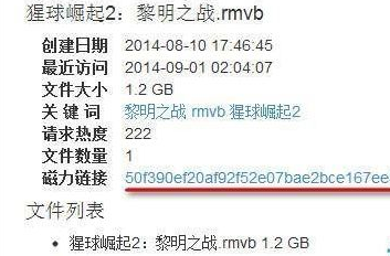 迅雷7使用磁力链接下载视频的操作教程