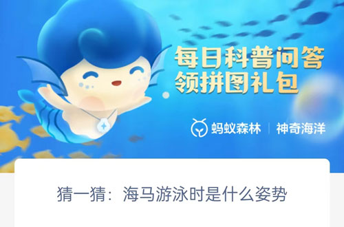 猜一猜海马游泳时是什么姿势