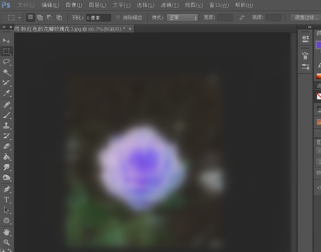 PS软件对图片颜色进行替换的简单操作