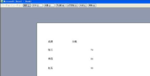 excel2007设置并打印网格线的相关操作步骤