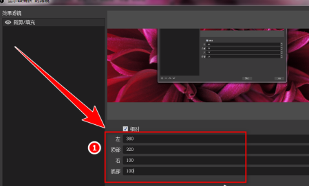OBS Studio如何录制自定义大小区域?OBS Studio录制自定义大小区域的方法