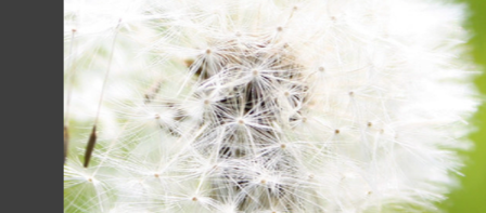 premiere制作交叉缩放效果的操作方法