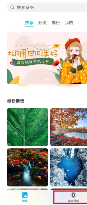 华为mate40e如何设置动态壁纸 华为mate40e动态壁纸设置教程