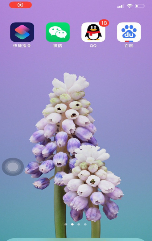 微信拍一拍后缀怎么设置 微信拍一拍后缀设置方法