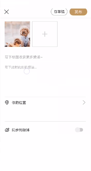 绿洲怎么发布动态?绿洲发布动态教程