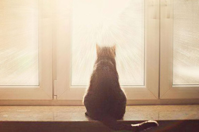 Photoshop给照片加上光线效果的操作方法