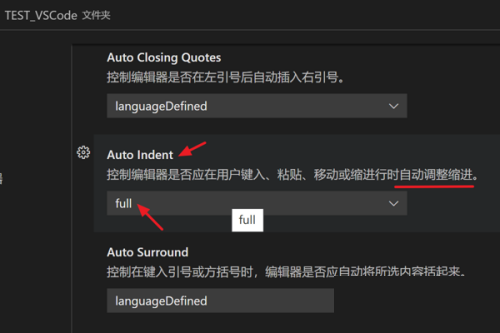 Vscode怎么设置键入时自动调整缩进?Vscode设置键入时自动调整缩进方法
