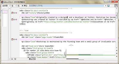 Beyond Compare显示行号的操作教程