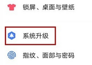 vivo NEX https://www.huajunxiazai.com/xy/3s关闭系统自动更新的方法步骤