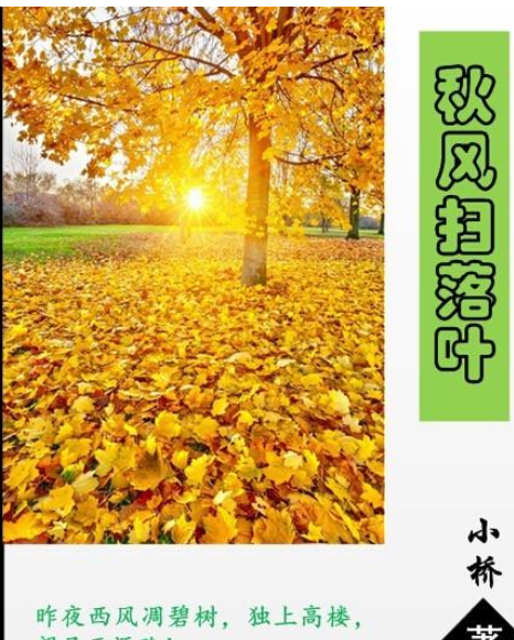 Microsoft Office Visio为小说配一个封面的详细使用教程