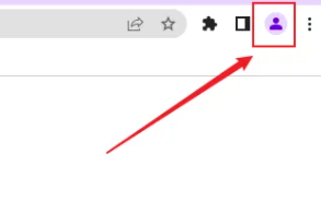谷歌浏览器如何登陆账号?谷歌浏览器登陆账号的方法教程