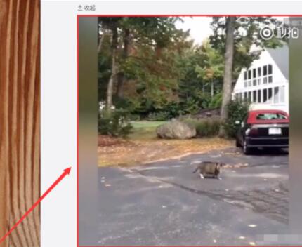 谷歌浏览器下载网页视频的详细教学