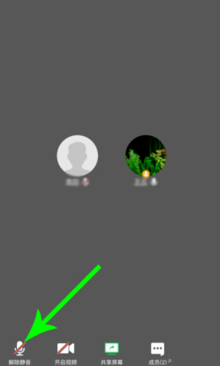 腾讯会议进行举手的详细方法