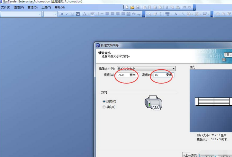 BarTender双排标签纸打印的操作教程